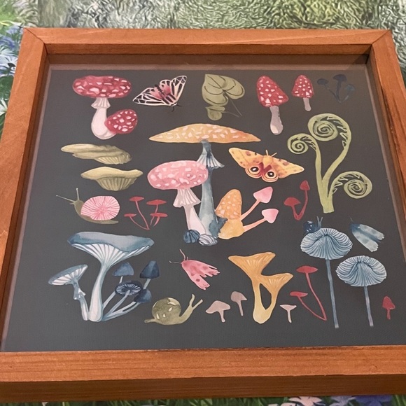 Framed Mushroom Wall Art, 12x12, NWT - Picture 5 of 5